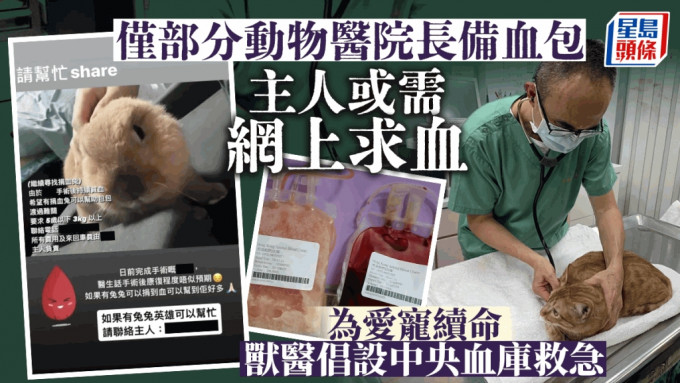 现时香港没有宠物中央血库，只有部分动物医院或诊所长期备有血包。