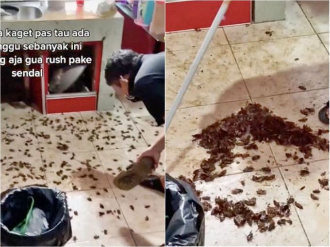 印尼網民的廚房湧現逾百隻蟑螂。網圖