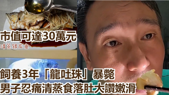 河南鄭州一男子養了3年的「龍吐珠」突然死亡，結果把牠蒸了進食。網上圖片