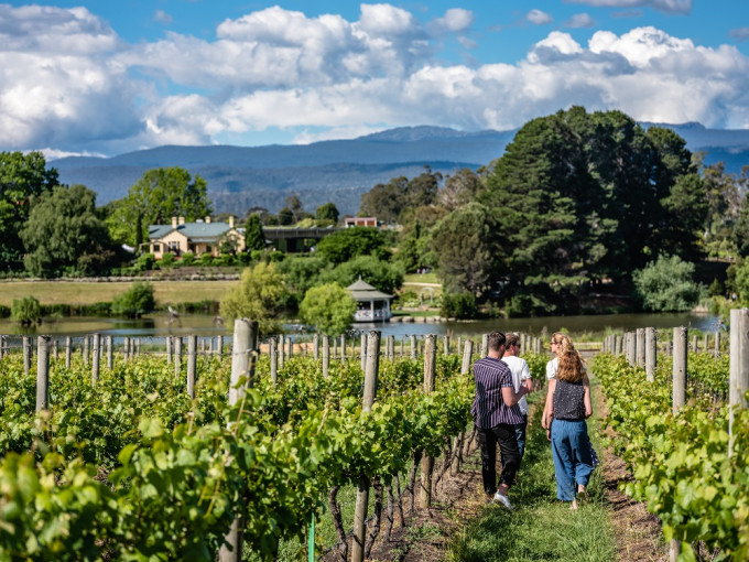 透过Tamar Valley Wine Route，大家可走访塔斯曼尼亚州的各家酒庄及葡萄园品酒。