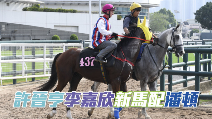 许晋亨名下的「耀宝」将会在周日沙田初次登场，罗富全已卜定由潘顿操刀。