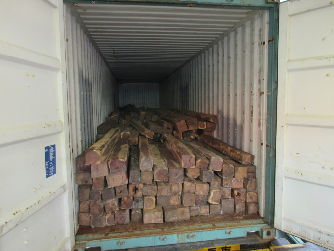 海关货柜检获市值290万元伯利兹黄檀木材。海关图片
