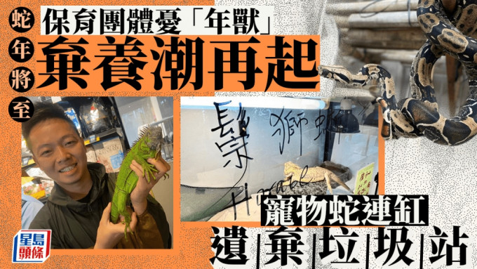 每日雜誌｜連缸遺棄垃圾站 團體憂新年掀熱潮 龍蛇交替「年獸」被棄 飼養兩爬勿貪得意