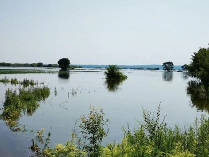 黑龙江黑河市江边部分农田被淹。网图