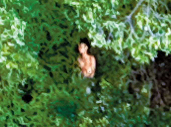 測量師李偉鵬從拍攝的逾千張密林航拍照片中，終發現失蹤曾憲哲的影蹤，更可見周二時他已赤身露體。