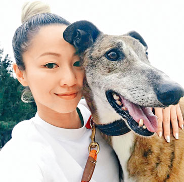 鄭融每天早起陪格力犬跑步 星島日報 鄭融每天早起陪格力犬跑步 星島日報