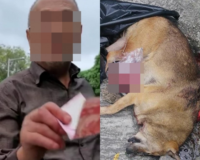 据报，元朗老翁挖狗尸内脏图带走。 香港动物报FB图