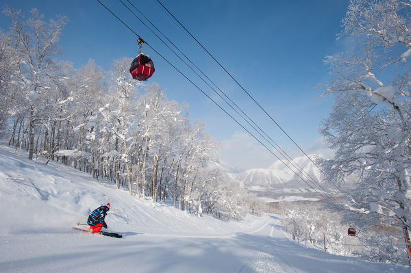 北海道留寿都村滑雪场。网上图片