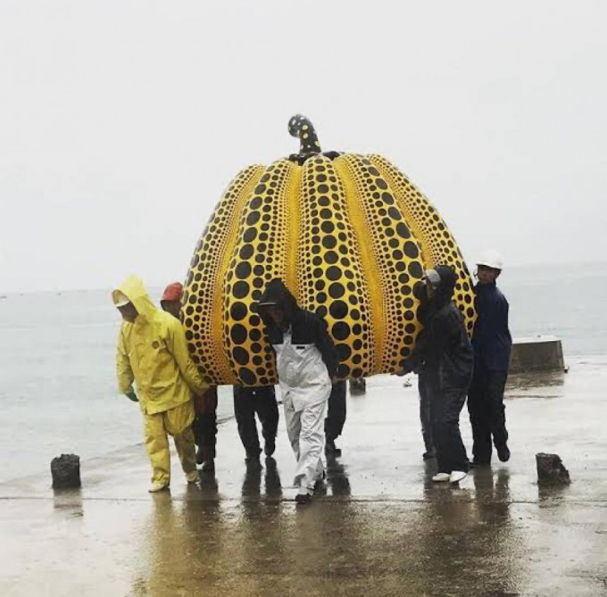 工作人員將黃南瓜撈回岸上。網上圖片