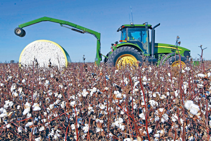 ■澳洲是全球主要棉產區。