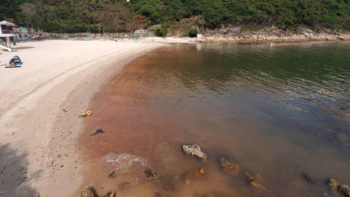 沙灘近岸位置仍有疑似「紅潮」的紅色水。楊偉亨攝