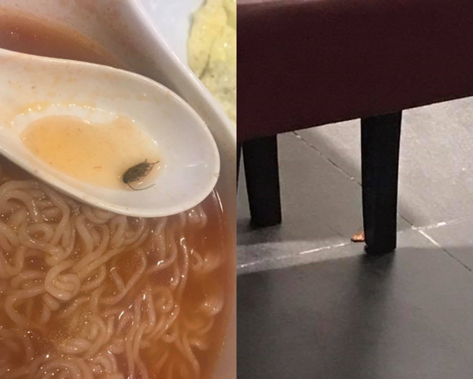 網民貼文投訴，在大埔墟一間餐廳吃麵時，發現碗内有曱甴。Hy Man圖片