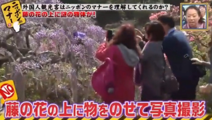 日本電視攝製隊揭發台灣旅客缺德行為。網上圖片