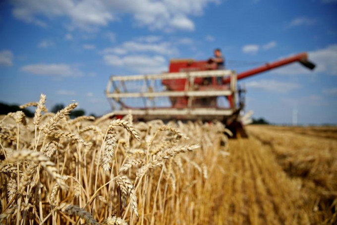 全球糧食價格已經創下10年新高，小麥期貨價格更是創下9年新高。路透社資料圖片