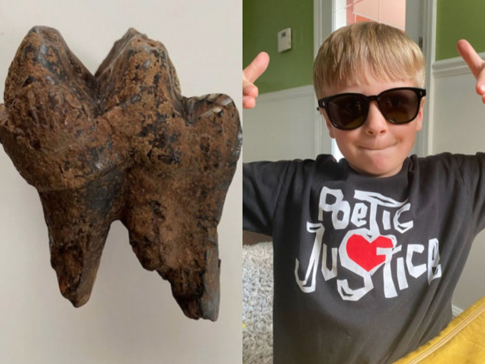 美国6岁男童保护区捡到1万年前乳齿象牙，羡煞考古学家。网图