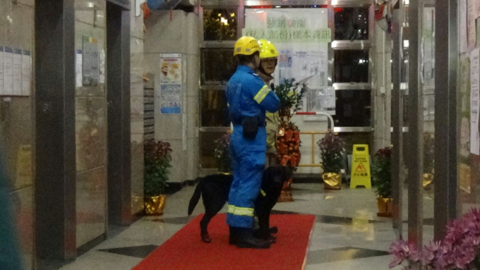 消防出動火警調查犬「森仔」到場協助。黃文威攝