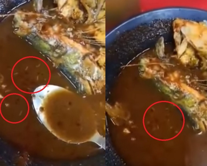 有食客進食亞參一款招牌菜時，發現碗內餸菜有蛆蟲。