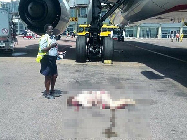 阿联酋航空公司一名空姐疑似轻生，送院后证实死亡。 网图