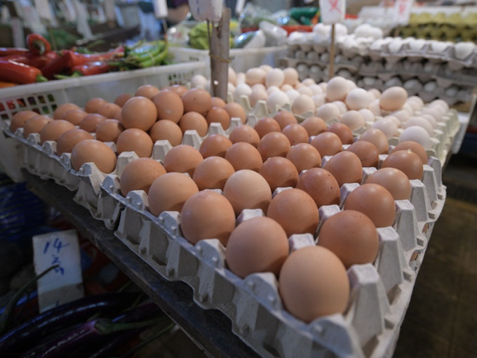 业界需暂停从该地区进口禽肉及禽类产品（包括禽蛋）。资料图片