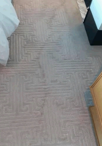 地氈上有一條彎曲及幼長的痕漬。香港 Staycation 酒店交流谷FB圖片