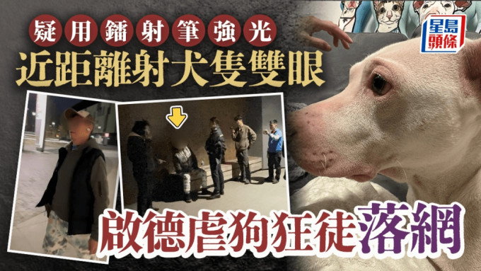 有片｜启德中年汉以镭射笔袭击三狗 遭警方带走 落网一刻围观街坊欢呼