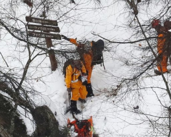 三头山下了一整天大雪。网图