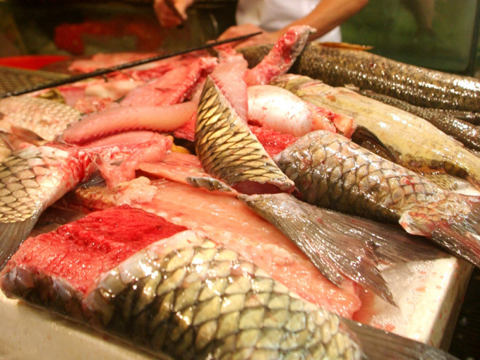 九龙城街市一档户的鲩鱼样本含微量孔雀石绿。资料图片
