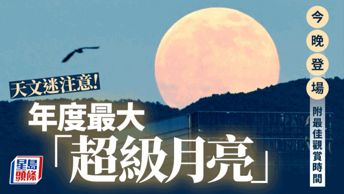 天文奇观︱年度最大「超级月亮」今亮相 持续3天高挂夜空