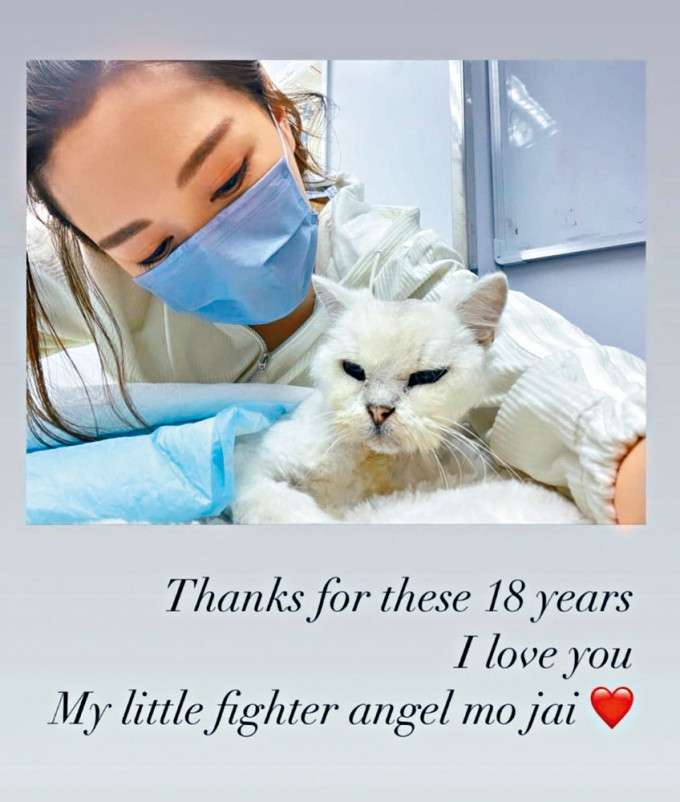 ■靓汤在社交网上载与Mo Jai合照，悼念这位战斗小天使。