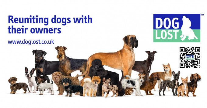 慈善組織「失狗」（Doglost）指出，去年有465隻狗失蹤，相信都是被偷走。Doglost Facebook圖片