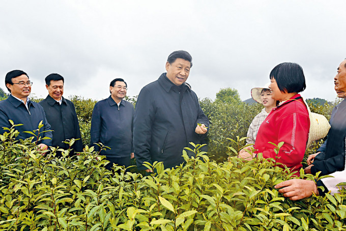 习近平在陕西平利县考察。