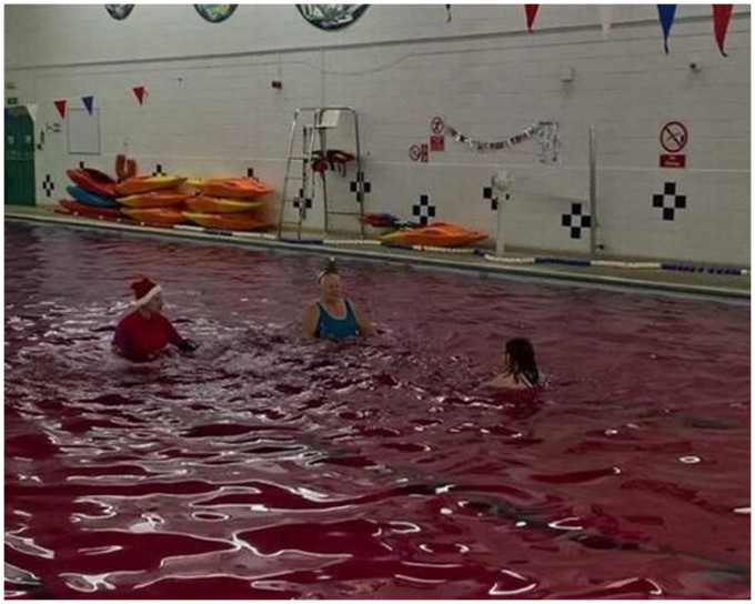 為慶祝聖誕節，職員將泳池染紅（網上圖片）