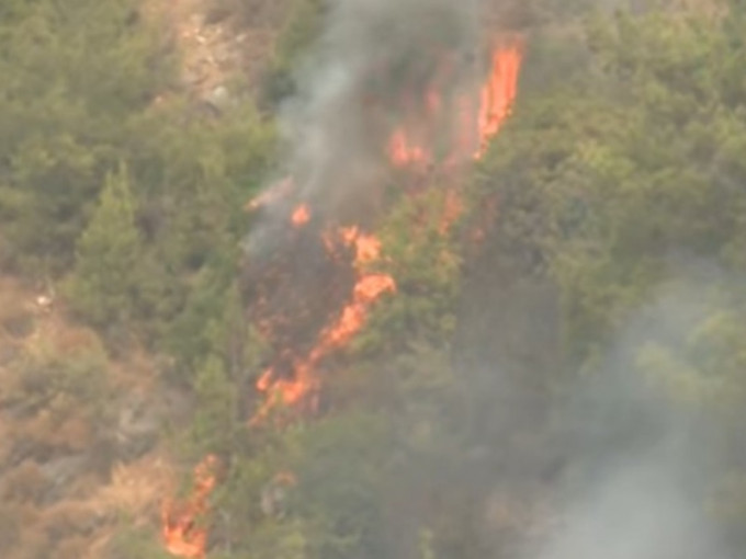 黎巴嫩部分地区发生山林大火。网图