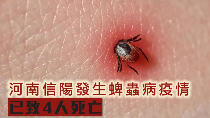 河南信阳发生蜱虫病疫情，已致4人死亡。网图