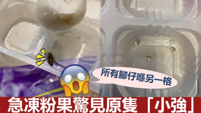 網民購買急凍粉果後，驚見原隻「小強」。FB圖片