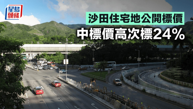 沙田住宅地公開標價 中標價高次標24%