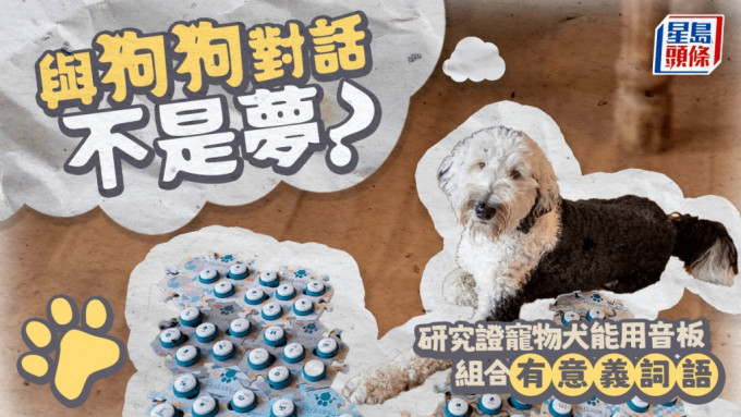 新研究指寵物犬能用音板拼出具意義的兩字組合：首次與人類「交談」