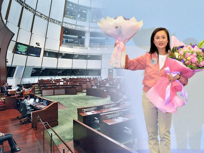 陳凱欣勝出，令建制派在議會內更見優勢。