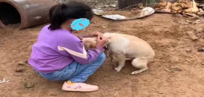 河南女童因祖母將她養的小狗賣給小販崩潰大哭的影片，近日在網上瘋傳。網圖
