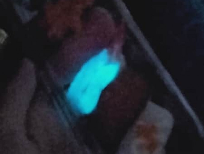 外賣壽司蝦黑暗中發出藍色熒光！(FB圖)