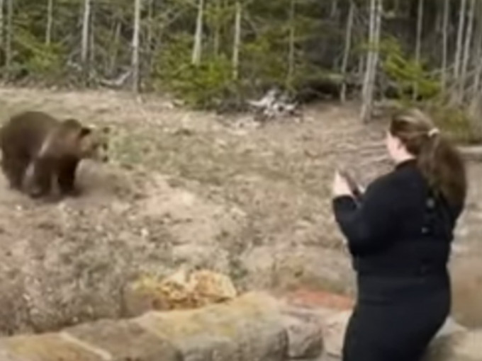 女子德赫寧因在黃石國家公園走近灰熊拍照被判監。網上影片截圖