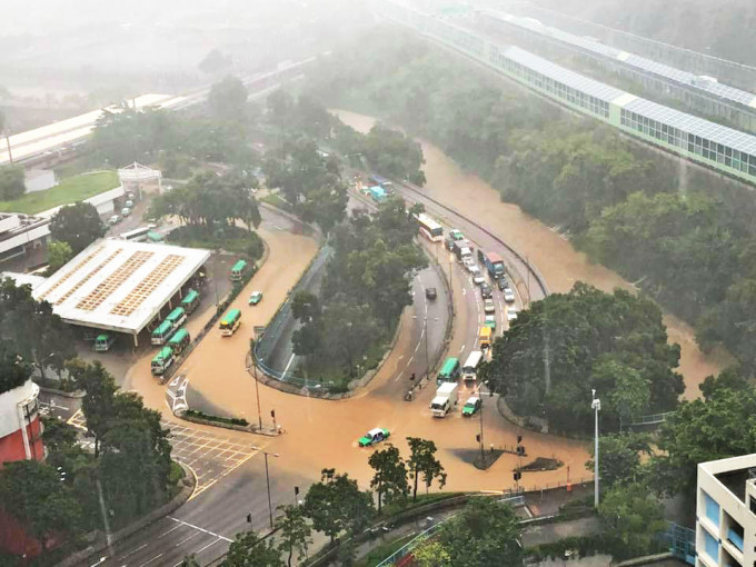 大埔南運路一帶大面積水浸。網民Fan Si Fan圖片