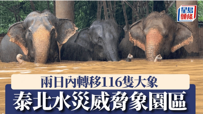 工作人員疏散逾百隻大象及其他動物，惟兩隻傷殘大象被證實死亡。（FB@Elephant Nature Park）