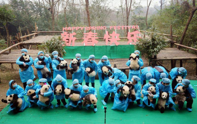 23只名饲养员各自抱著一只大熊猫宝宝，排成「2017」字形。中新社