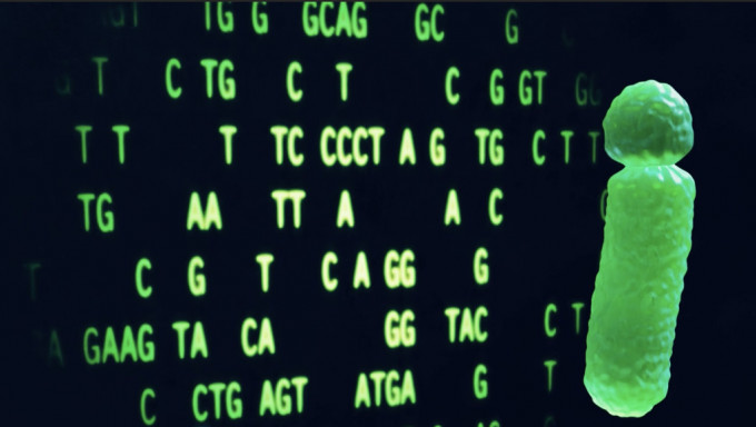 美国研究人员领衔的团队首次发布完整的人类Y染色体基因序列。  NHGRI