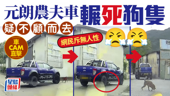 車Cam直擊｜元朗狗隻遭農夫車輾斃 司機疑不顧而去 網民斥無人性