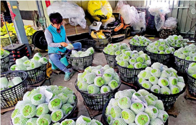 台湾番荔枝。