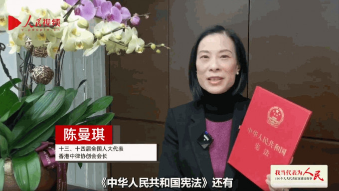 陈曼琪提出，应当完善宪法和基本法教育、国情教育、中国历史和中华文化教育。