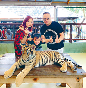 蔣嘉瑩與老公帶囝囝睇老虎，年僅5歲的他不畏虎更大膽跟牠合照。