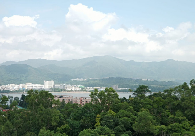 高層單位外望翠綠景致，更可眺望海景。